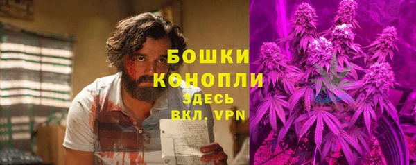 прущая мука Иннополис