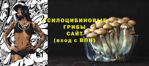 ешки Алексеевка